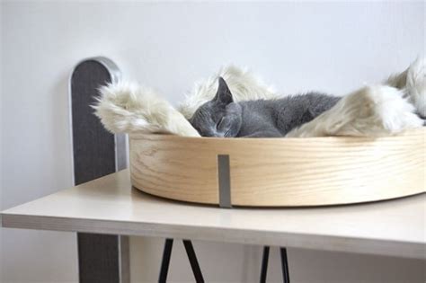 Rondo stand in felt, a modern furniture for cats. Chic and Cozy Cat Beds: 20 Modern Ideas