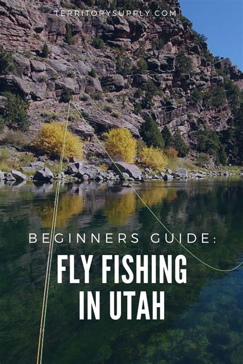 The Beginners Guide To Fly Fishing In Utah Fly Fishing Utah Fishing