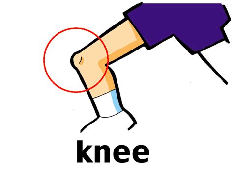 Knees Cartoon Images Clipart Of Knee 10 Free Cliparts Dekorisori
