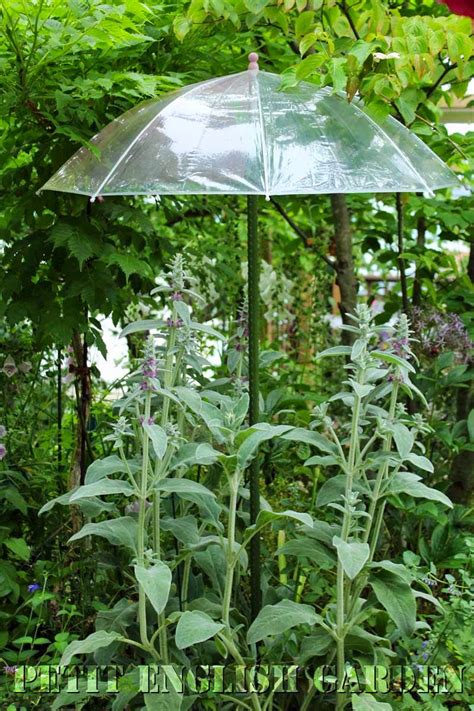 Petit English Garden By Marple And Poirot Umbrellas For Plants