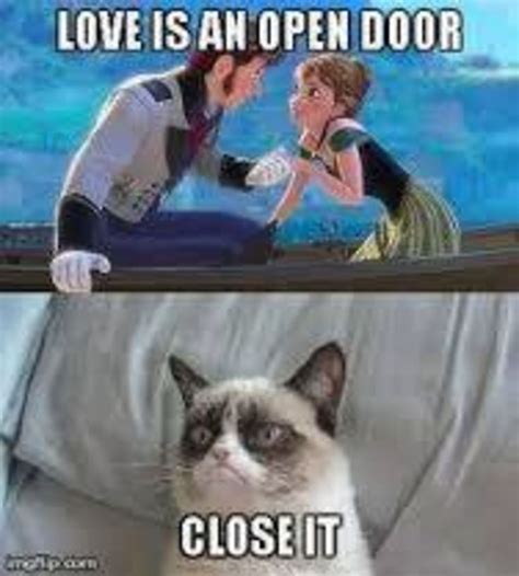 Frozen Memes Funny Grumpy Cat Memes Grumpy Cat Humor Funny Cat Memes