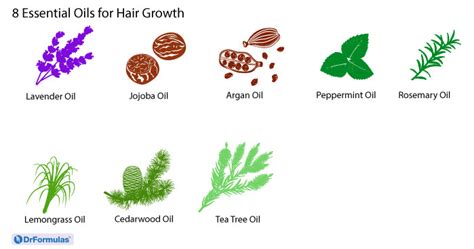 Top 8 Essential Oils For Hair Growth And Thickness Drformulas