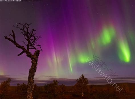 Kuva Revontulet Kevolla Aurora Borealis Revontulet Revontuli Värikäs