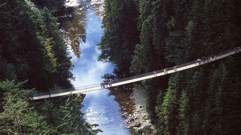 Movers Move Capilano Suspension Bridge British Columbia Canada