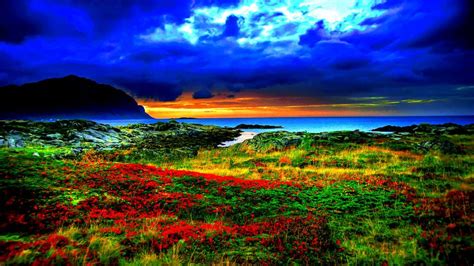 Beautiful Colorful Nature