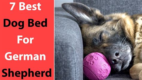 Best Dog Bed For German Shepherd Buyers Guide Youtube
