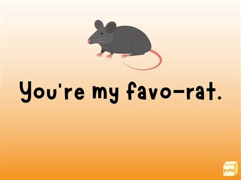 50 Hilarious Rat Puns Box Of Puns