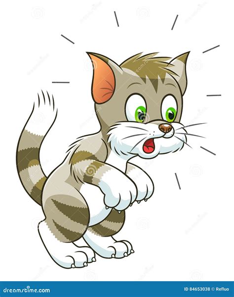 Gato Sorprendido Ilustración Del Vector Ilustración De Asustado 84653038