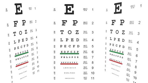 Field Training Officers Near Sighted Vs Far Sighted