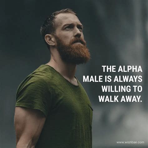 Inspiring Alpha Male Quotes And Captions For Instagram
