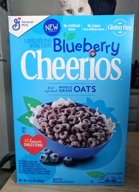 Blueberry Cheerios Review General Mills Newest Cereal