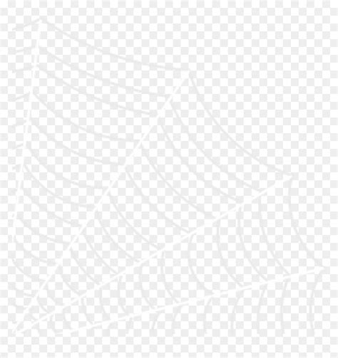 Hp Silver White Corner Spider Web Clipart Hd Png Download Vhv