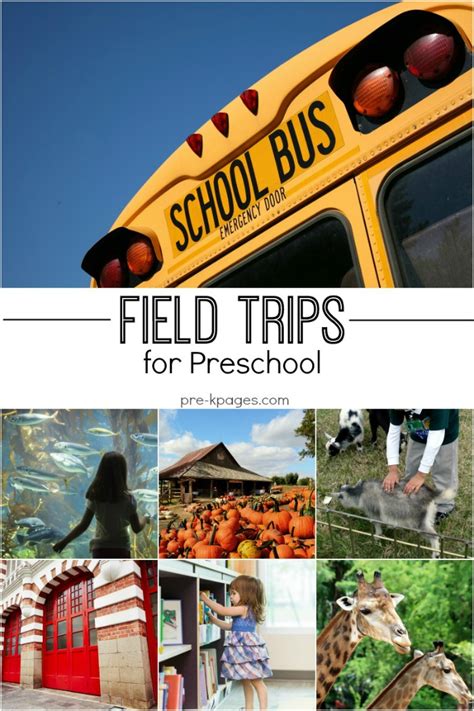 Field Trip Ideas for Preschool and Kindergarten