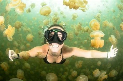 6 Interesting Facts About Jellyfish Lake In Palau