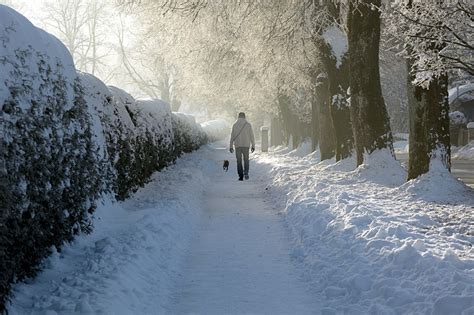 Man Walking On Snow Road Public Domain Free Photos For