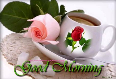 Free online good morning coffee and a rose ecards on everyday cards. Lovely Morning Roses