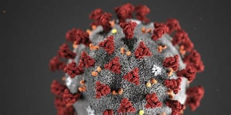 Coronavirus Ce Que L On Sait Sur La Transmission Par Micro Gouttelettes Dans L Air