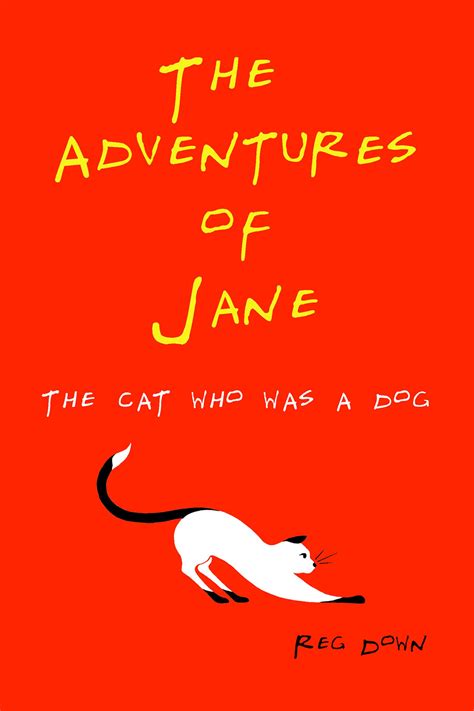 The Adventures Of Jane The Cat Who Was A Dog A Simple Direct Color