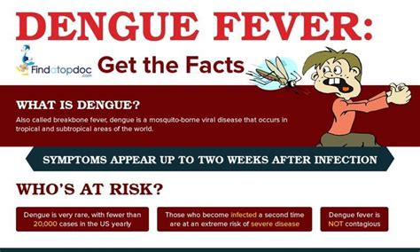 What Is Dengue Fever Facts About Dengue Fever Infographic