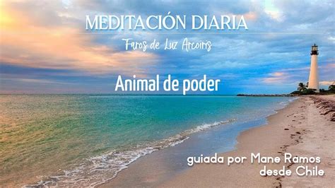 Meditación Al Amanecer Hoy Animal De Poder Guiada Por Mane Ramos