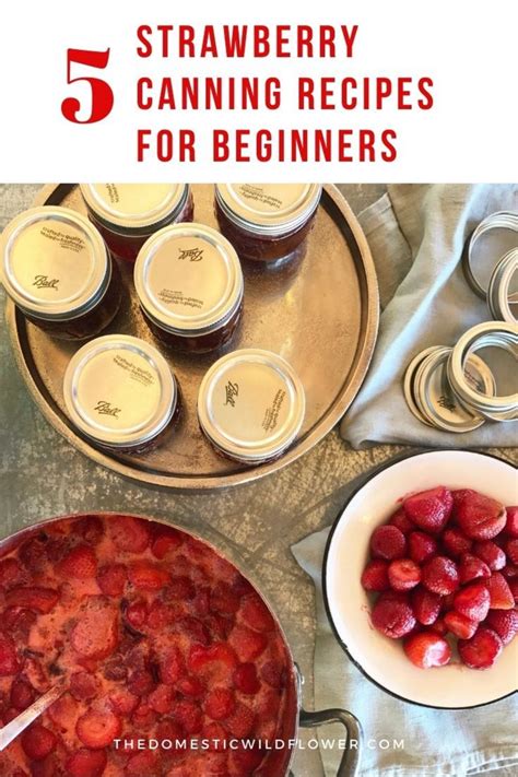 Pin On Canning For Beginners