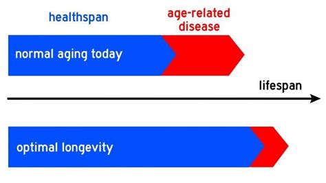 Healthspan Vs Lifespan Whats The Difference By Caroline Wallace