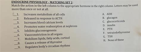 Solved Endocrine Physiology ﻿matching Set 2match The