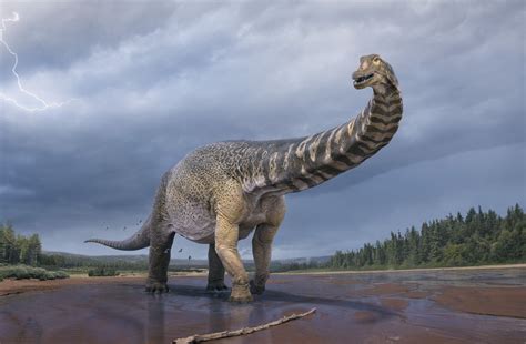 Huge Titanosaur From 90 Million Years Ago Is Among 15 Largest Dinosaurs