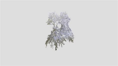Tree Point Cloud Buy Royalty Free 3d Model By Magnumopus Tree