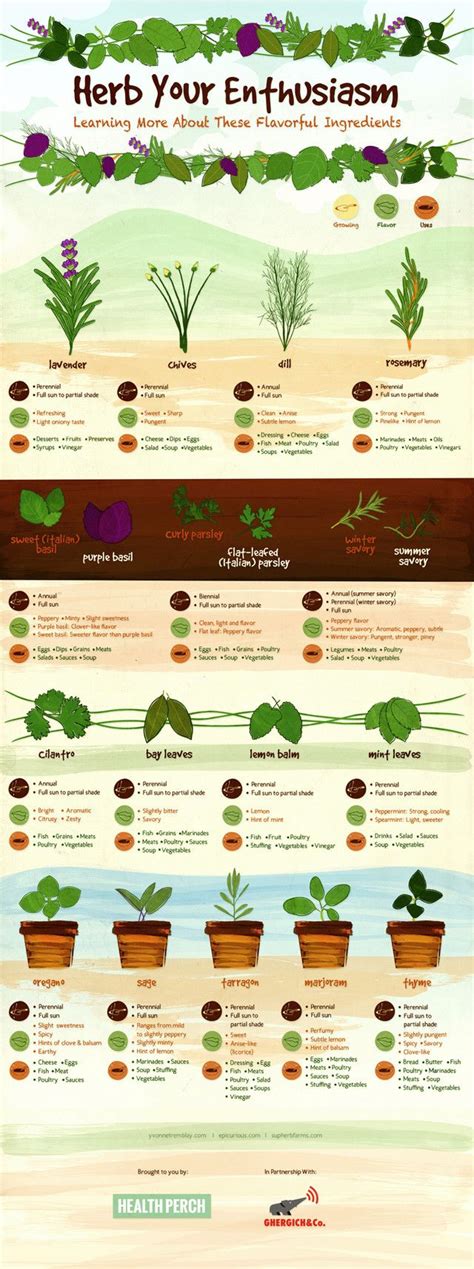 Herbs That Grow Well Together Chart