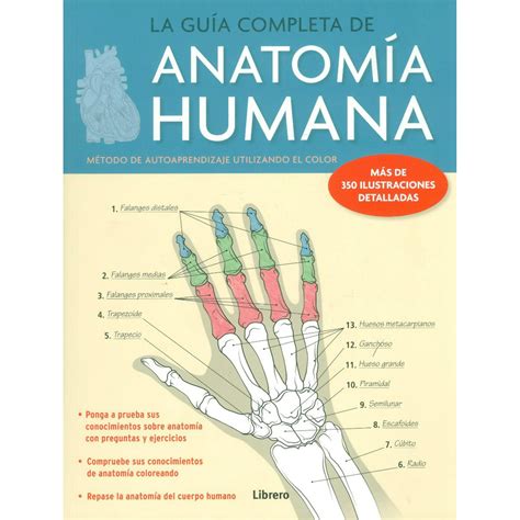 Anatomia Humana La Guia Completa Metodo De Aprendizaje Utilizando El