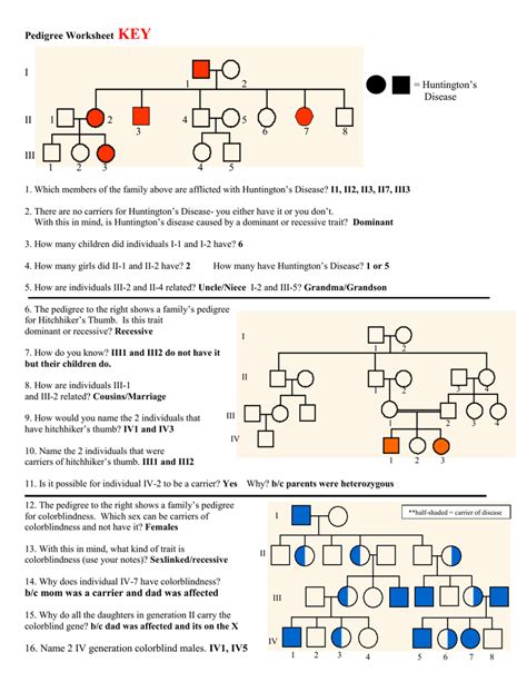 R represents a red gene and b. Pedigree Worksheet Biology | db-excel.com
