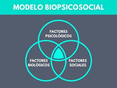 Modelo Biopsicosocial Historiaymodelo Actual Hot Sex Picture