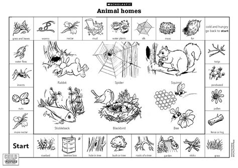 40 Animal Homes Coloring Pages Free Wallpaper