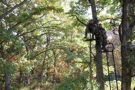 6 Summer Projects That Bring Deer Closer To Your Tree Stand Big Game Treestands Hunting