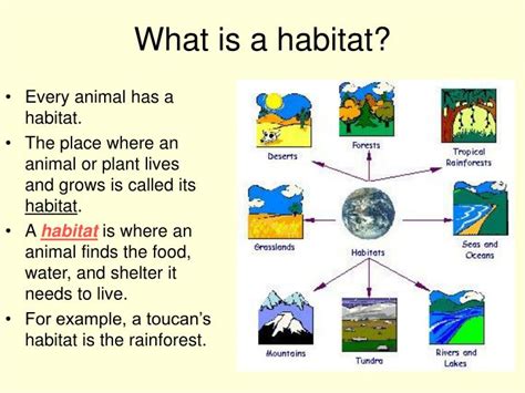 Ppt Habitats For Plants And Animals By Denise Carroll Powerpoint