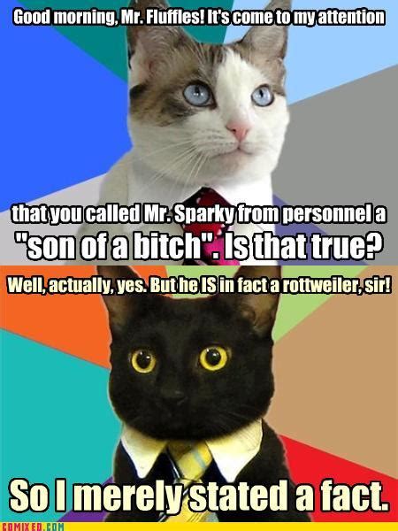 [image 167792] business cat know your meme