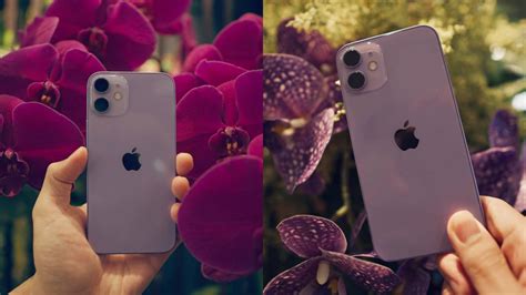 5 Things We Like About The New Purple Iphone 12 Hype My