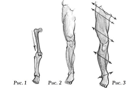 Как нарисовать ноги человека ДИКИЙ ХУДОЖНИК