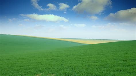 1920x1080 Fields Sky Meadows Open Spaces Grass Coolwallpapersme