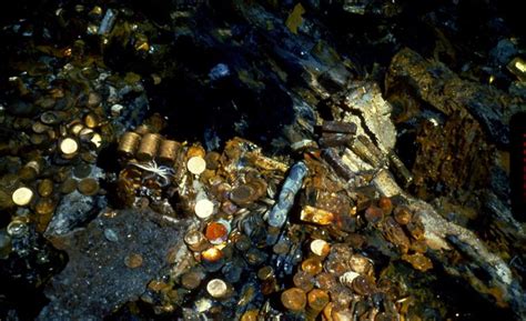Seattle Group Helped Find 15 Tons Of Gold Lost On Sunken Ship It Took