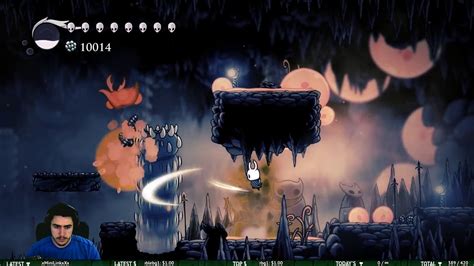 Hollow Knight Flower Quest Youtube