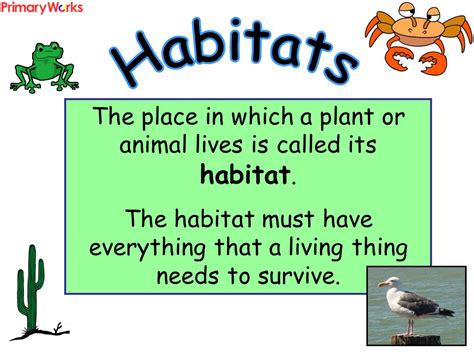 Habitats Powerpoint For Ks2 And Ks1 Children For A Habitats Geography Or