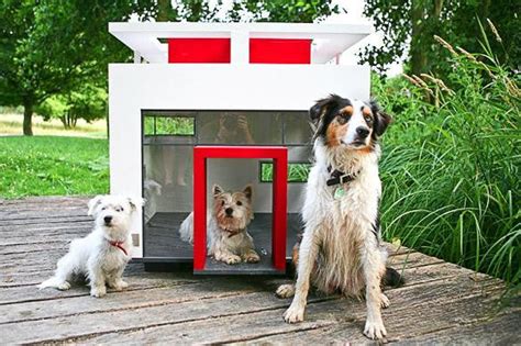 9 Extreme Dog Houses For The Ultimate Dog Lover Pinstapals