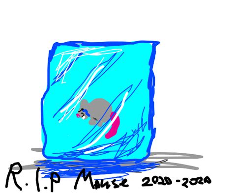 Mouse In An Ice Cube Drawception