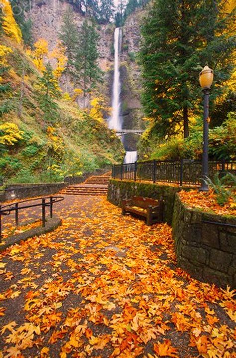 Autumn In Portland Or Waterfall Autumn Scenery Fall Pictures