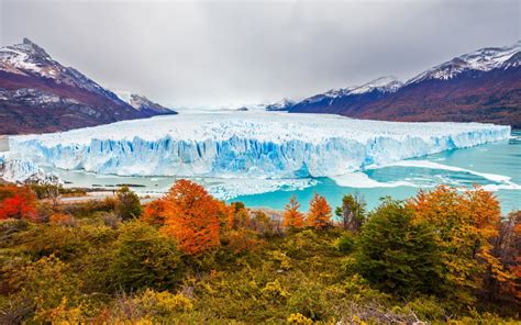 Le Recul Des Glaciers En Patagonie Et En Antarctique Terra Antarctica