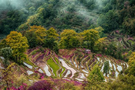 Yuanyang Rice Terraces 500px Rice Terraces World Photo Landscape