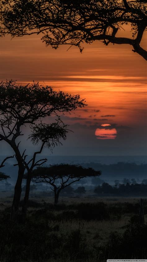 Sunrise Africa Iphone Wallpapers Wallpaper Cave