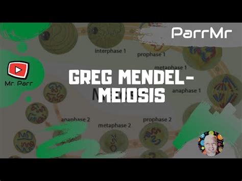 270 x 350 jpeg 18 кб. Greg Mendel-Meiosis Song - YouTube